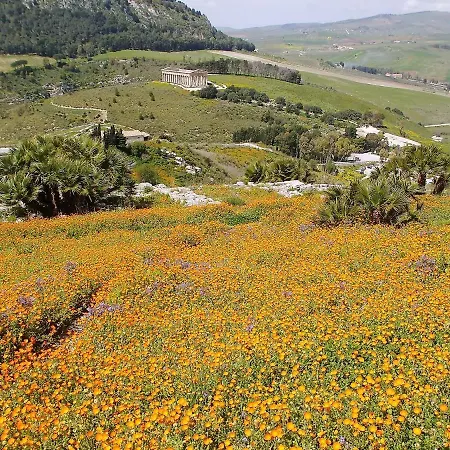 بيت للعطل 3 Bedrooms House With Jacuzzi Garden And Wifi At *